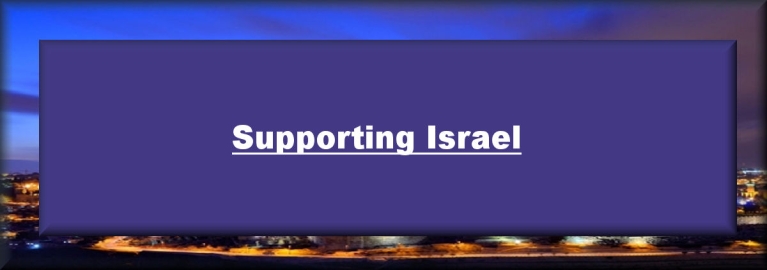 Supporting Israel website